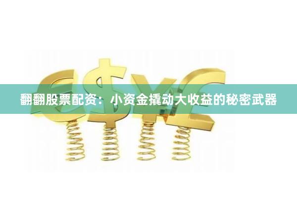 翻翻股票配资：小资金撬动大收益的秘密武器